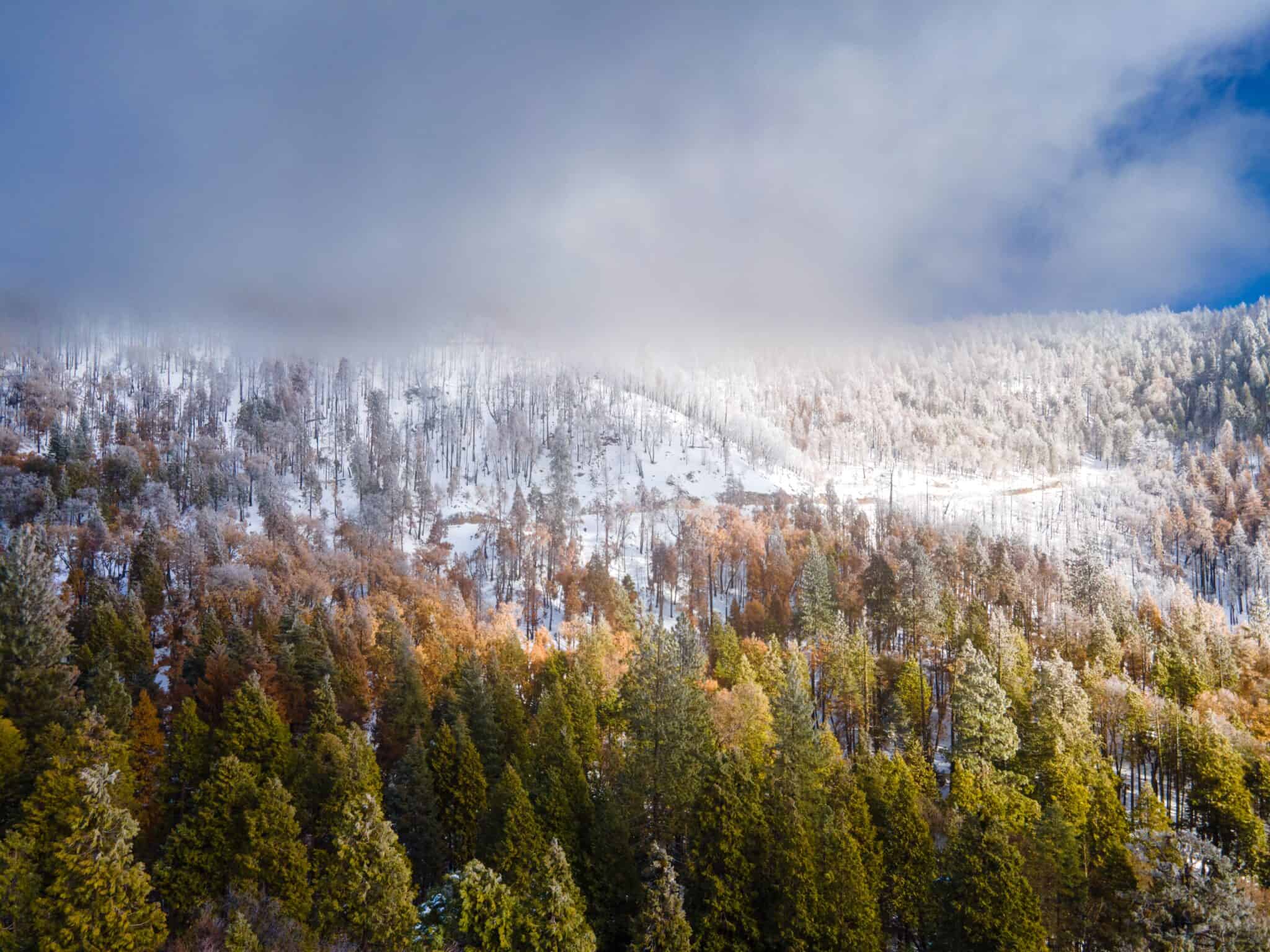 Snow on the mountains of California