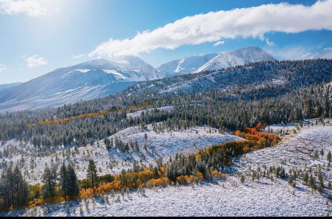 Snow in the California Mountains